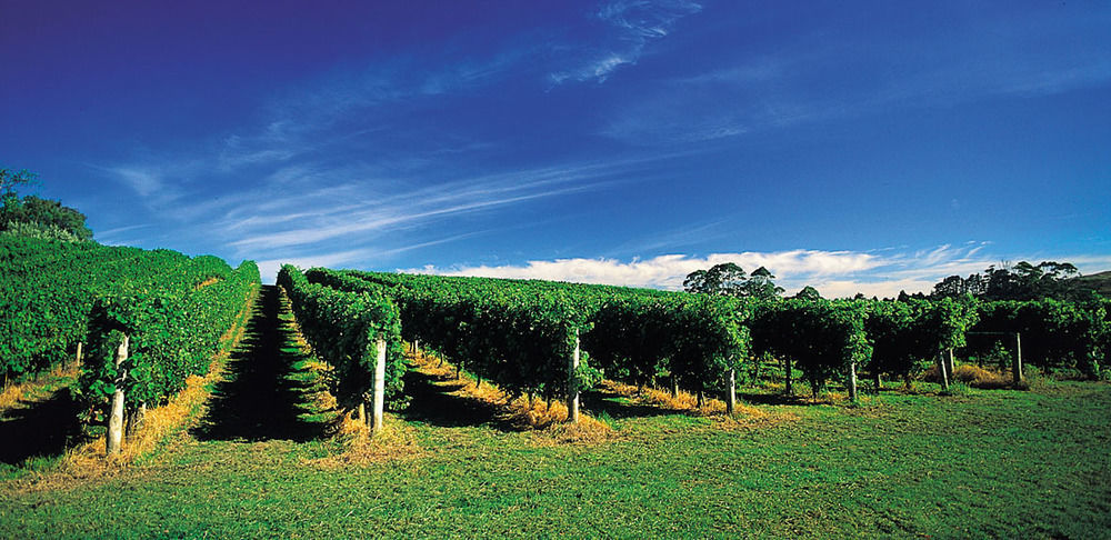 Vineyard Cottages - Kumeu Waimauku Eksteriør bilde