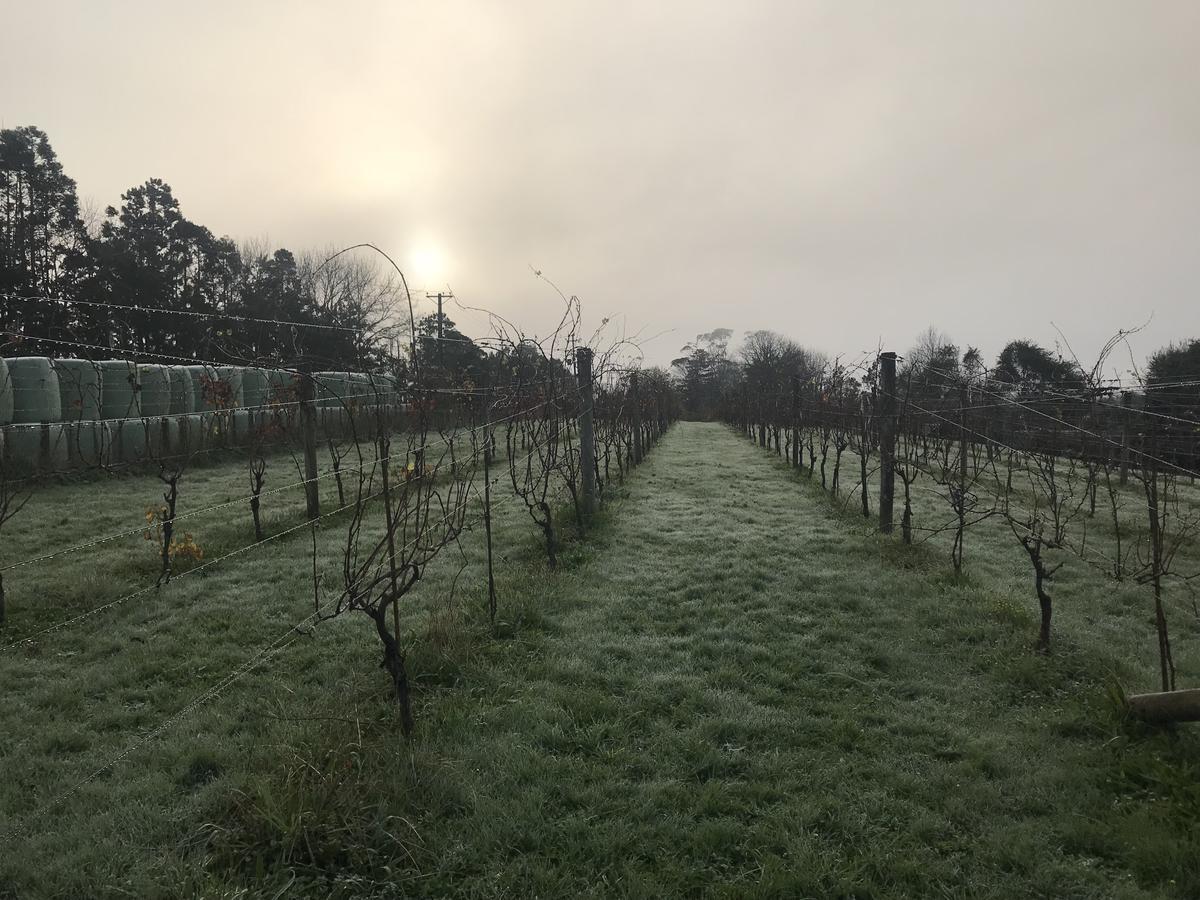 Vineyard Cottages - Kumeu Waimauku Eksteriør bilde
