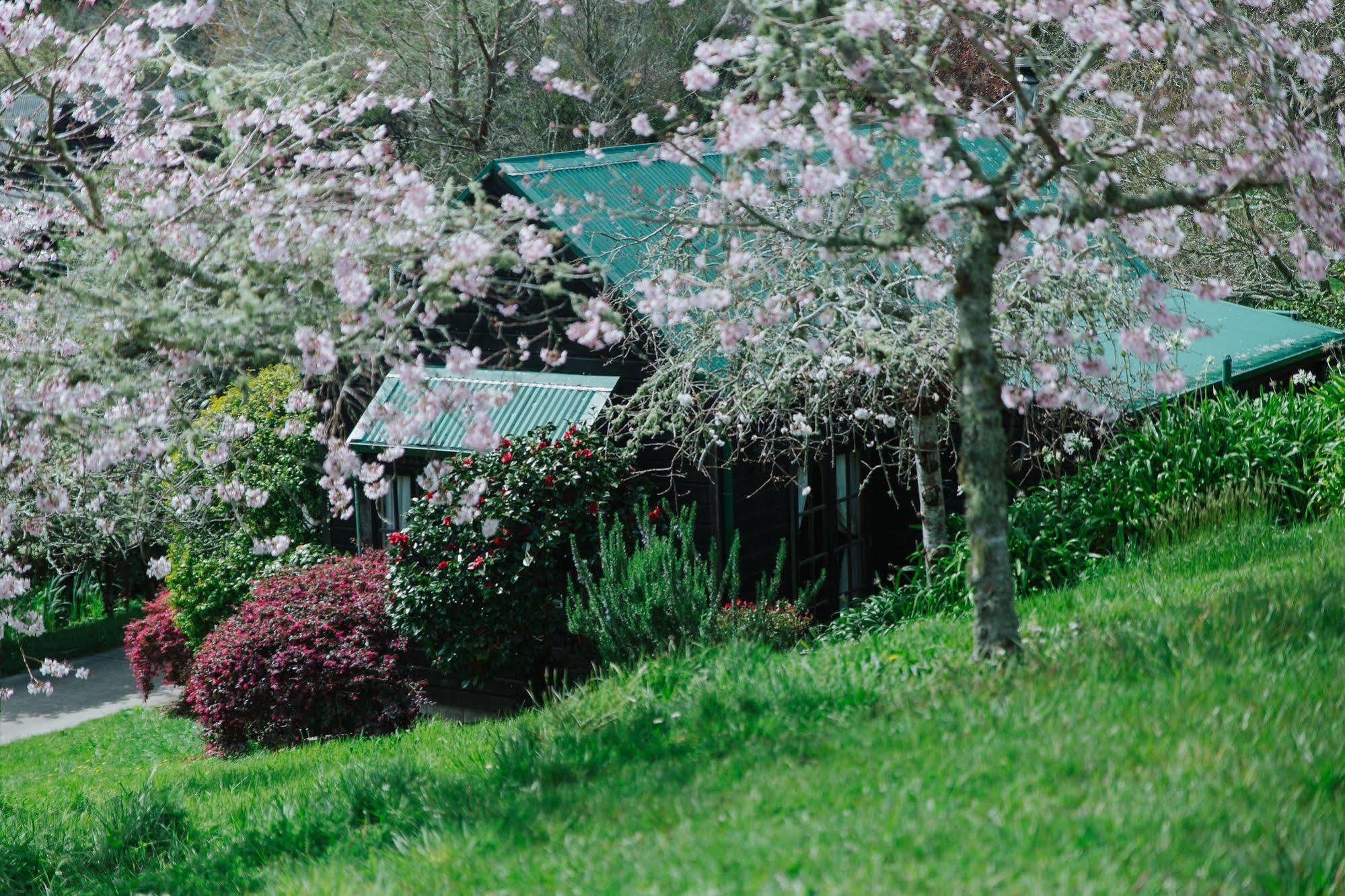 Vineyard Cottages - Kumeu Waimauku Eksteriør bilde